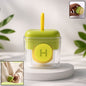 Toothpick Holder Box
