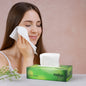 Freshee Premium Skin-Friendly Facial Tissues — 100 Pc Box (18 x 20 cm)